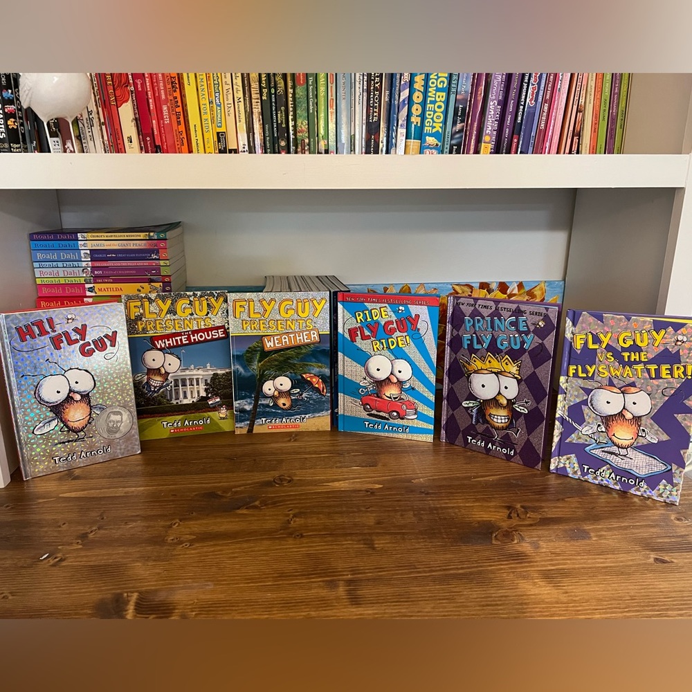 Fly Guy set of 6 book set